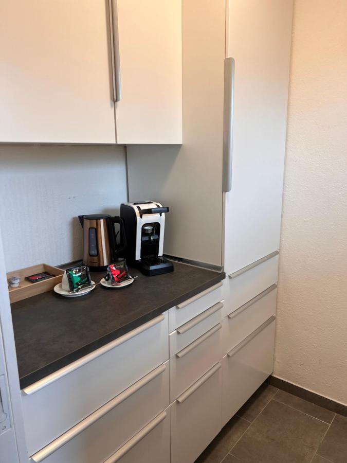 Lux Business Apartments Weil am Rhein Zewnętrze zdjęcie